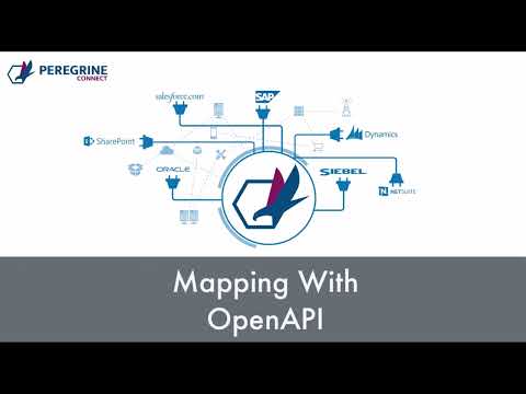 Mapping using OpenAPI