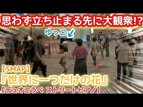 思わず立ち止まる先に大観衆？！『世界に一つだけの花』SMAP【デュオこうべストリートピアノ】