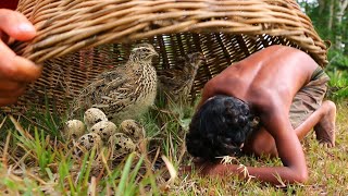 Survival in forest - Girl and smart boy meet quail egg - Cook egg quail Eating Ep 09
