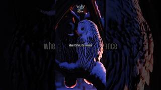 The Truth About Love and Romance: Which Do You Have?