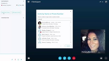 Skype Basics - Signing In or Out