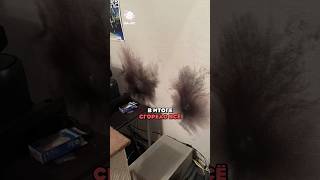 Сетевой фильтр НЕ СПАС ПК ОТ ГРОЗЫ?