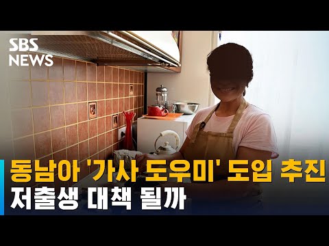 동남아 가사 도우미 도입 추진 저출생 대책 될까 SBS 