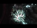 SOMA LIVESTREAM PART 2