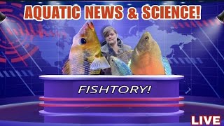 Aquarium Support Live. Some Fascinating Fishy News on Schooling Research & Chat!