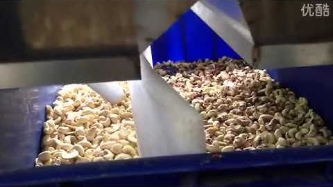 Latest Belt   type CCD Cashew Color Sorter   Sorting Machine