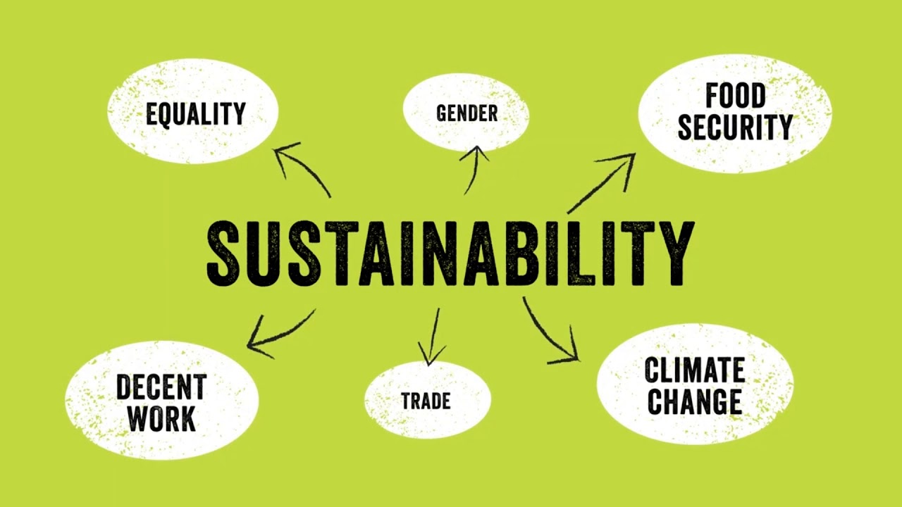 IAF PROMO 23 BORDER EMPOWERMENT AND INTERNATIONAL TRADE ZONES A
