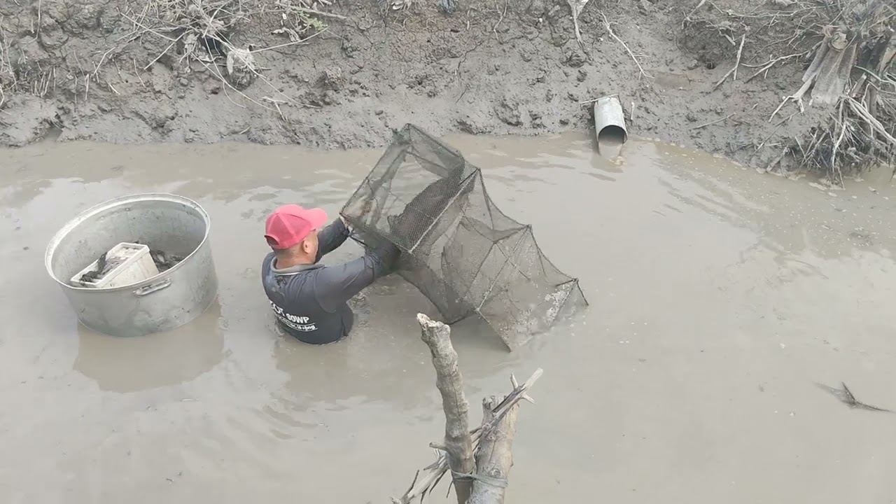Một ngày đi thăm lú cùng hai chú cháu cá dính nhiều quá đi thôi