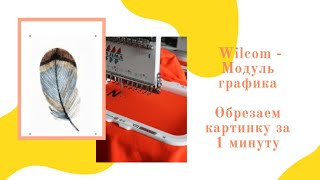 Как обрезать картинку в программе Wilcom за 1 минуту - Модуль графика screenshot 5