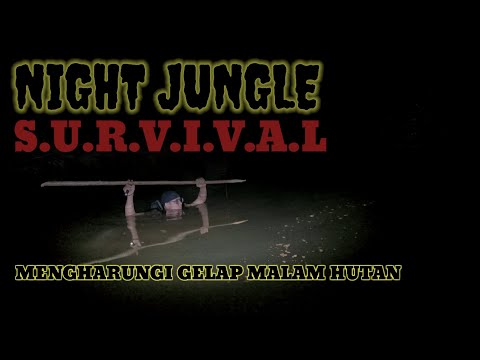 Gerun sebenar hutan hanya bermula pada malam hari....