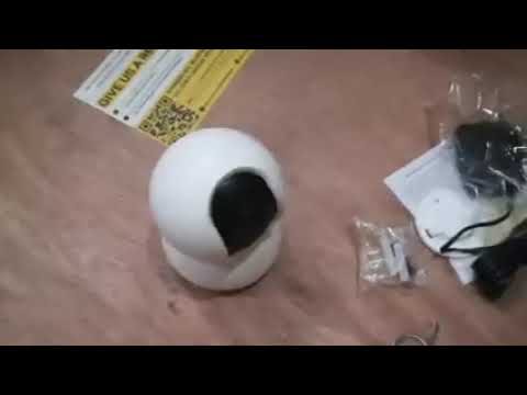 Budget Security Wi-Fi CameraTapo C200 (ayasib)