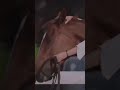 خيب القاسي ظنوني تصميم غريب ال مخلص انتهت فرحة سنيني تصاميم بدون حقوق