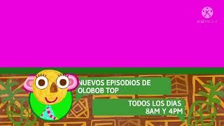 Discovery Kids Olobob Top Template Latin America