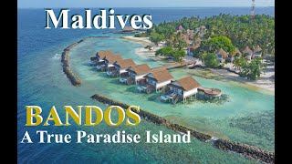 4K | BANDOS ISLAND | ONE OF THE BEST RESORT ISLANDS IN THE MALDIVES | 2023