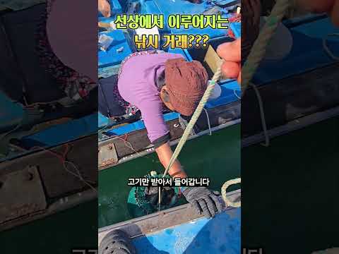 낚시거래???  #백령도, #백령도해녀와사위, #낚시 thumbnail