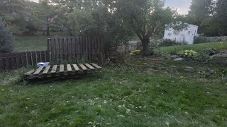 Storm damage update