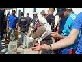 شاهد معنا اكبر سوق الحمام في الجزائر أنواع و أسعار الحمام في سوق الحراش بي الجزائر العاصمة