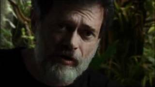 Terence McKenna - Psychedelics as a practice for Singularity