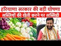 बड़ी खुशखबरी ! हरियाणा सरकार सब्जियों की खेती करने पर देगी 25 हज़ार तक सब्सिडी | Haryana Vegitables 