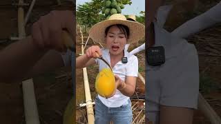 Beautiful Nature - Inspur Fresh Fruit Wonderful Video Of Industry
