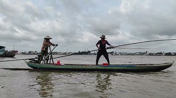 Bắt Cá Tôm tự nhiên trên Sông Hậu Mekong River