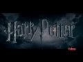 Harry Potter- World without end