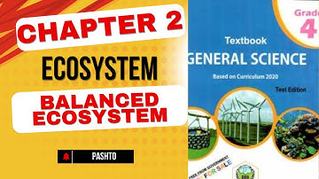 Balanced Ecosystem | class 4 science chapter 2 | ecosystem | kp textbook in pashto