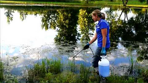 Algae Control Application