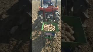 Посадка картоплі мотоблочною сажалкою на міні тракторі Міцубісі мт220