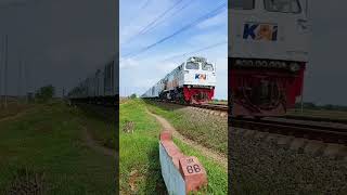 Taksaka Full Ngebuttt #shorts #train #railways #indonesianrailways #lokomotif #taksaka