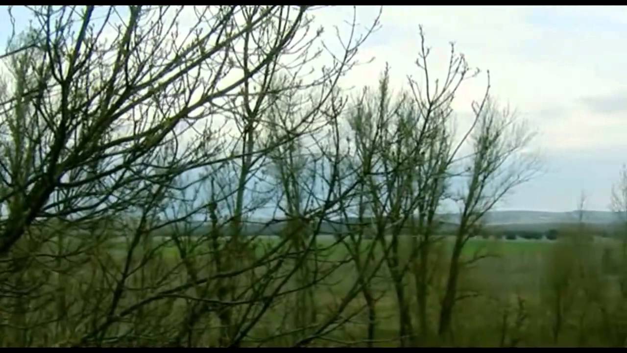 El camino del Cid - Soria