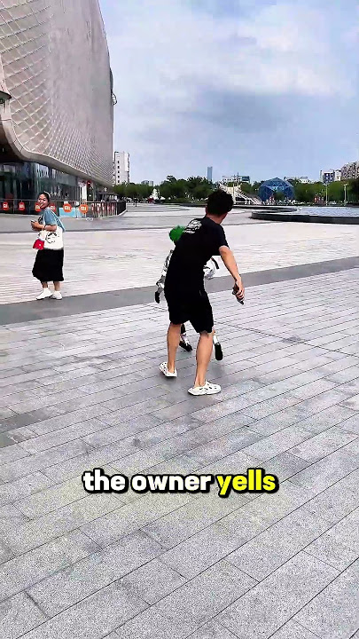 'Pervert Robot Goes Wild! Chases Girls Nonstop, Owner Can't Stop It!'