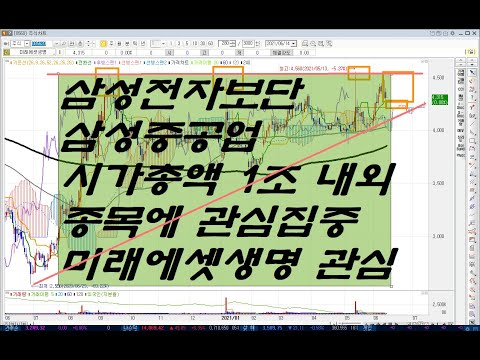 삼성전자보단삼성중공업 시가총액 1조 내외종목에 관심집중 <strong>미래에셋생명</strong> 관심
