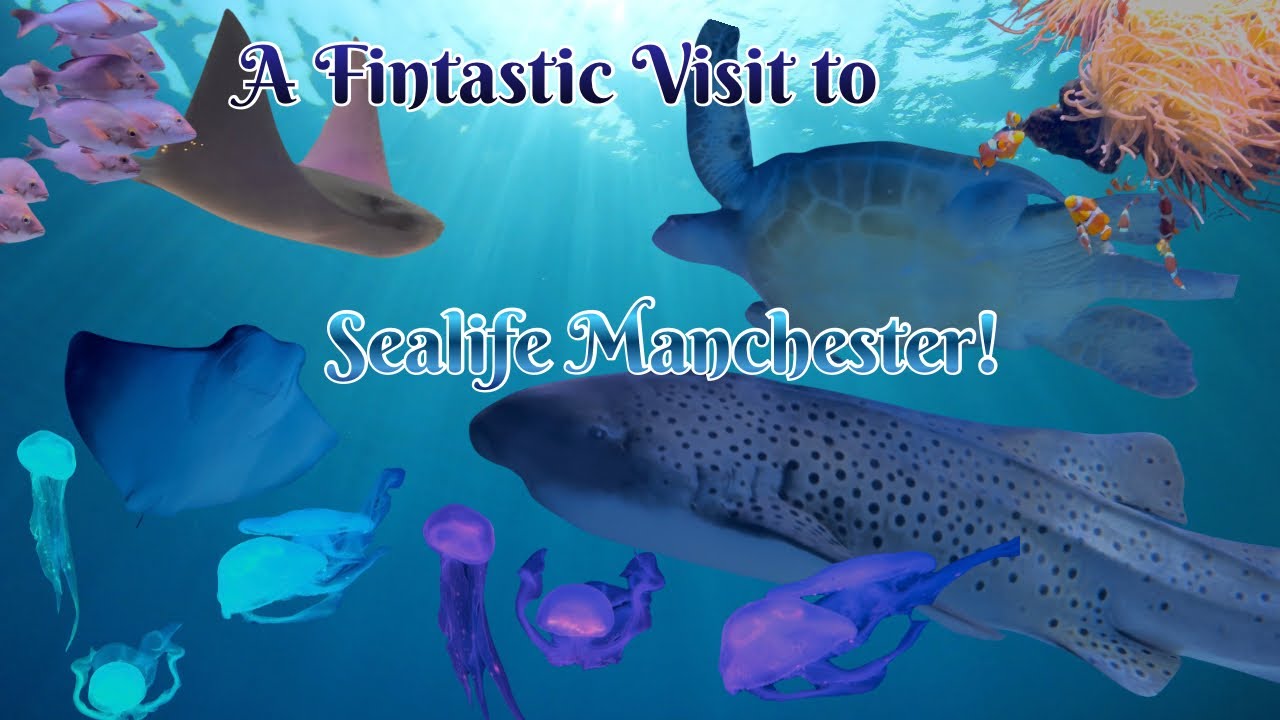 A Fintastic Visit to Sealife Manchester!