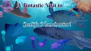 A Fintastic Visit to Sealife Manchester!