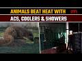 ACs, showers and cool diets keep animals safe at Jammu zoo amid heatwave