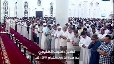 القارئ المهندس /خليفة الطنيجي🌺