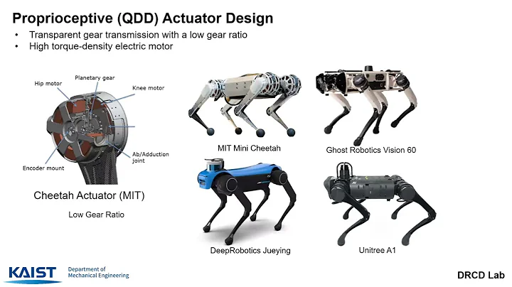 Hardware Design and Control Algorithms for Agile and Versatile Legged Robots
