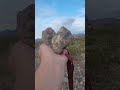 موسيقى القلب لهذا اليوم 