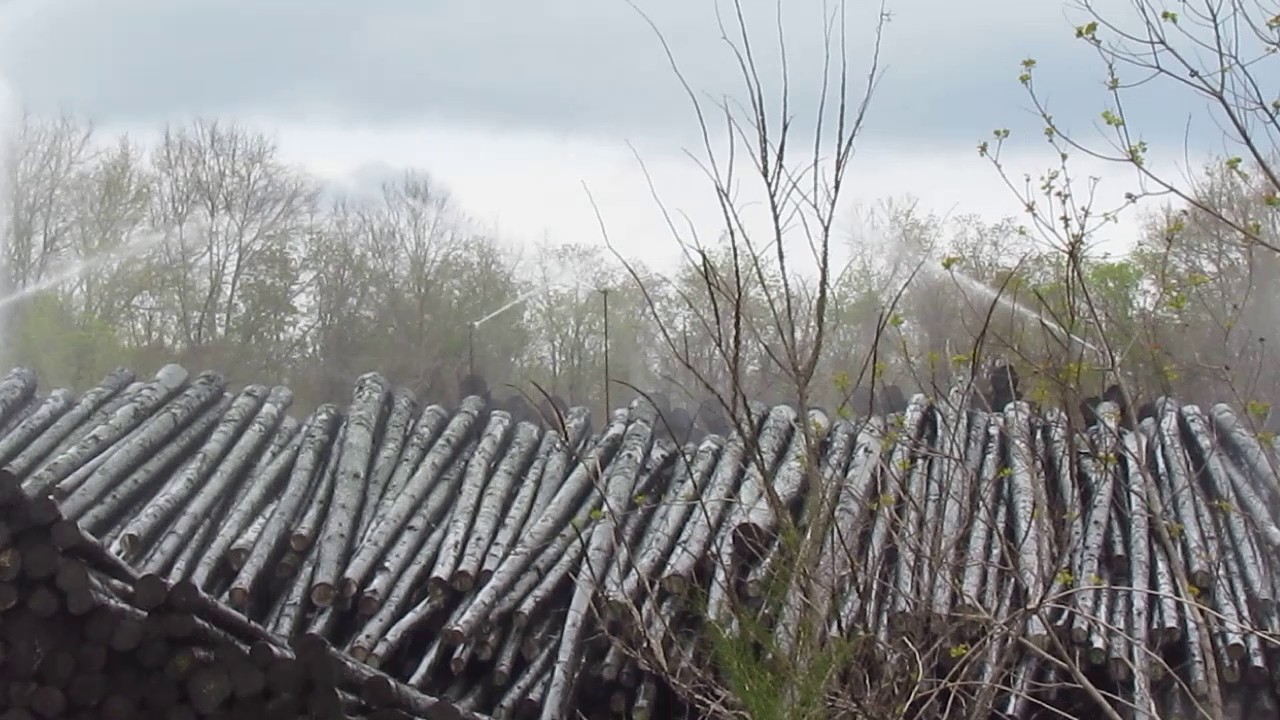 (2017-03-10) Log Sprayers at Rex Lumber Timber Yard