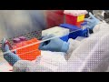 OneLab VR: Biological Safety Cabinet: Decontaminating at Start-up and Adding Items Scenario Promo