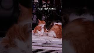 "Marge kept the lisas in" by cats ❤️part 4