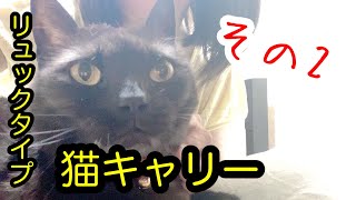 しゃべる黒猫にキャリーバッグを購入したら隠れ家になって癒された