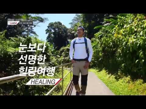 최고의 현실을 느끼다 skyUHD2 라인업