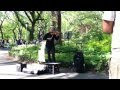 Violinist at Central Park, New York
