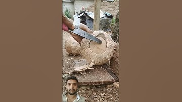 round coconut | remove the coconut from the shell 🌴 😃 #satisfying #woodworking #woodcrafts #shorts