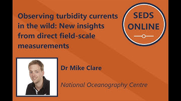 Observing turbidity currents in the wild: New insights from direct field-scale measurements