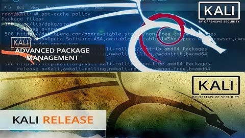 Advanced Package Management | Kali Linux 2018.1