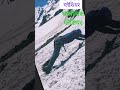 Glacier training in Sonamarg #Thajivas