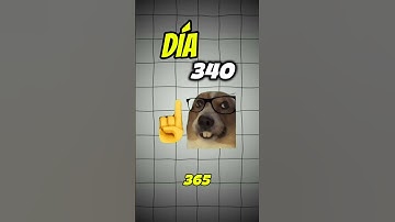 🐍 Día 340 de 365 Hoy creamos un simulador de robots reparadores moviéndose en un mapa dinámico